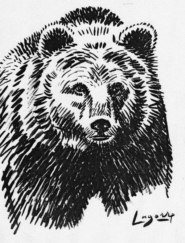 Coloriage Tete D Ours