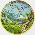 Petit camembert de l'Ariège